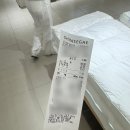 슬립서포트 | 임산부 필수템 바디필로우 노르딕슬립 U필로우 내돈내산