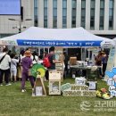 짱짱오락실 이미지