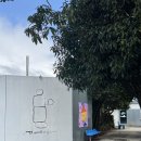 풀베개 [제주 카페 추천] 제주 서귀포 안덕면 카페 <b>풀</b><b>베개</b> 방문 후기