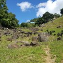 지리산황금농장 이미지