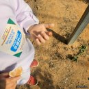 태인농장3 이미지