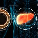 &#34;67만 명 환자 분석, ‘한약’ 간독성 위험 없다” 이미지
