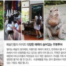 주현뷰띠끄