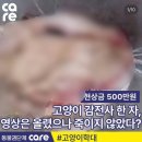 [사진 주의] 길고양이들을 포획하여 물고문 시키고, 드라이기로 지지고, 이빨을 다 뽑아버리고, 전기고문 한 학대범 이미지