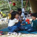 명학산 캠핑장 이미지