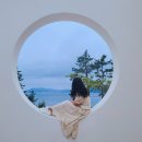 오송웨이브 이미지