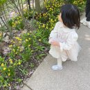리얼모노 | [아이랑 화담숲] 수선화축제 리얼 후기 | 모노레일, 주차, 관람요금, 내부식당까지 총정리!
