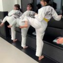 용인대 미르 태권도 이미지