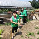 염소우리 이미지