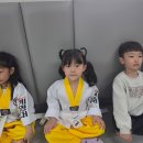 베스트 태권도 | 격투태권도 아이들 성장 발달, 놀이와 교육을 균형 있게 책임지는 베스트 태권도