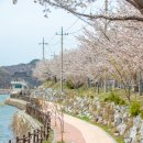 삼기 이미지