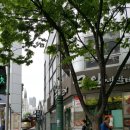 청라언덕길모퉁이 네이버블로그