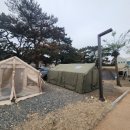 관성솔밭해변 | 동해 바다 바로 앞 캠핑, 관성솔밭해변 캠핑 후기 (오션뷰 캠핑 추천)