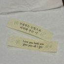 아직 영종도에 살아... 2024 데이식스 콘서트 후기 (FOREVER YOUNG in INCHEON) 아레나인스파이어