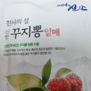 신안꾸지뽕 이미지