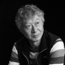 소나무를 품다 이미지