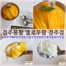 용황과일 | 경주 용황 카페 옐로우팜 망고빙수맛집