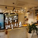 축농증치료를 위해 다시 찾은 왕십리한의원, 배농치료와 한약 복용 후기
