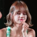 퍼니헤어 이미지