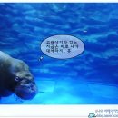 제주해양과학관 (아쿠아플라넷) 이미지