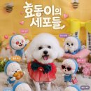 효동