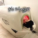 오광케어 | 순천 마사지 피부에오광 바이오포톤 전신돔 다이어트 아로마 관리 내돈내산 후기
