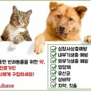 가나약국 이미지