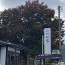 기사님식당 | 속리산 맛집 주말마다 웨이팅필수인 기사님식당 방문후기