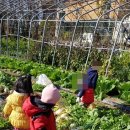 태양어린이집 이미지