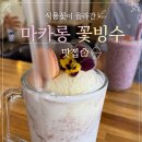꽃보다마카롱 | 청주 내수읍 카페 내수당｜마카롱·답례품·꽃빙수까지 즐긴 솔직 후기