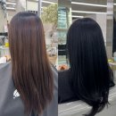 강남 미용실 추천 | 르블라썸 강남점 톤다운 염색 히레디자이너 헤어협찬후기