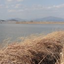 주남저수지 이미지