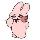 글리플케이크 이미지