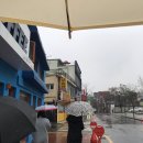 12월둘째주