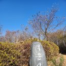 영종대로277번길 이미지