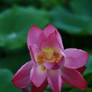 사진마을 이미지