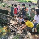 서귀포초등학교 병설유치원 이미지