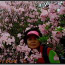 비비아나 이미지