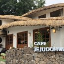 제주도화 이미지