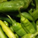 동창이용소 이미지