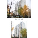 계룡로536번길 이미지