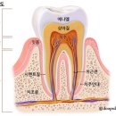 두산치과기공소 네이버블로그
