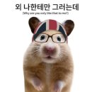 엽기닭볶음탕 시키려했는데 다 품절임 이미지