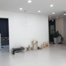 사진찍는더멜 이미지