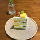 JS메디플러스 이미지