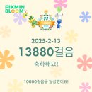 20250210~20250216