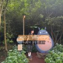 [제주도 패키지여행] 3박4일 제주도 여행 1~2일차 후기