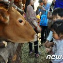 늘푸름목장 이미지