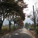 수락리경로당 네이버블로그