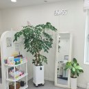 안덕디자인 이미지